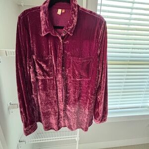Pilcro Velvet Shirt in Deep Purple